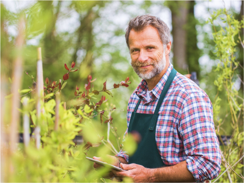 Une gamme de services