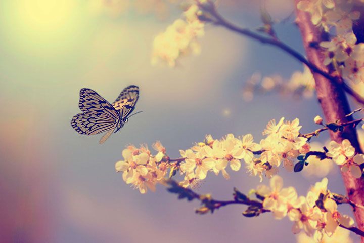 Création de site internet